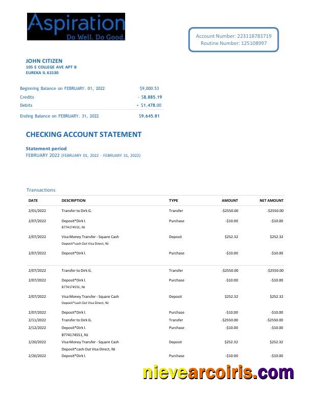 USA Aspiration bank statement Word and PDF, 2 pages